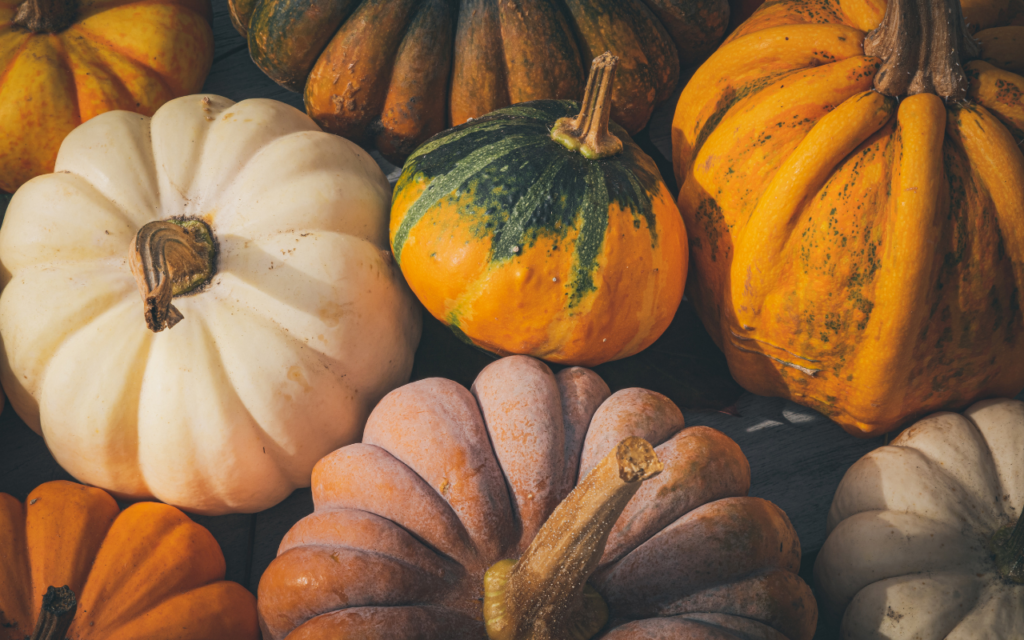 Varietà delle zucche di Halloween