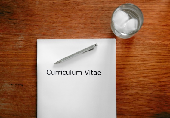 curriculum vitae creativo