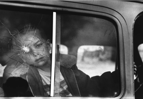 elliott erwitt