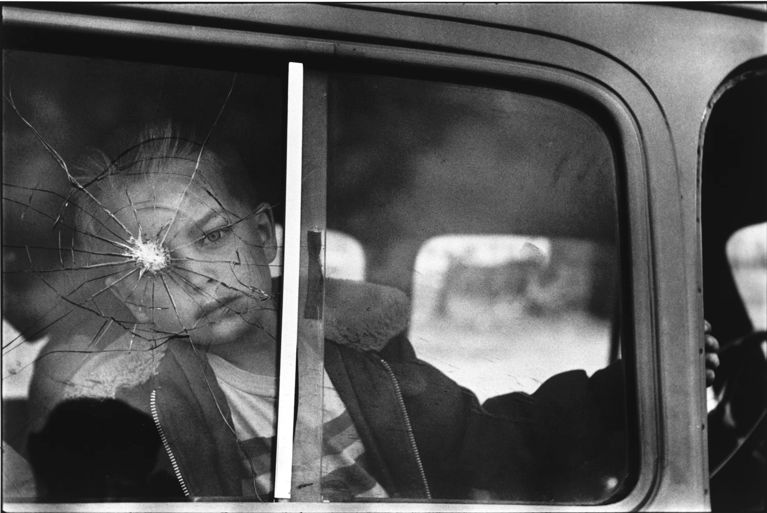 elliott erwitt