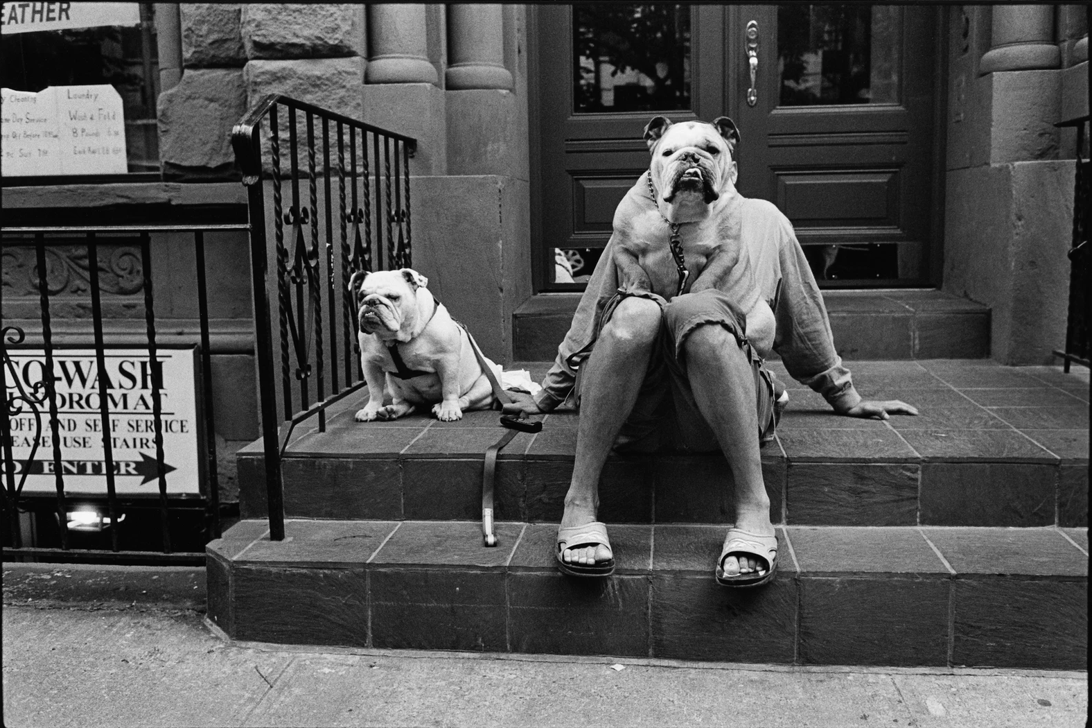 elliott erwitt cani new yourk