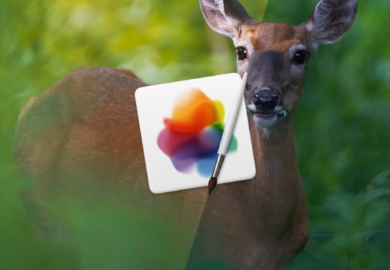 pixelmator pro