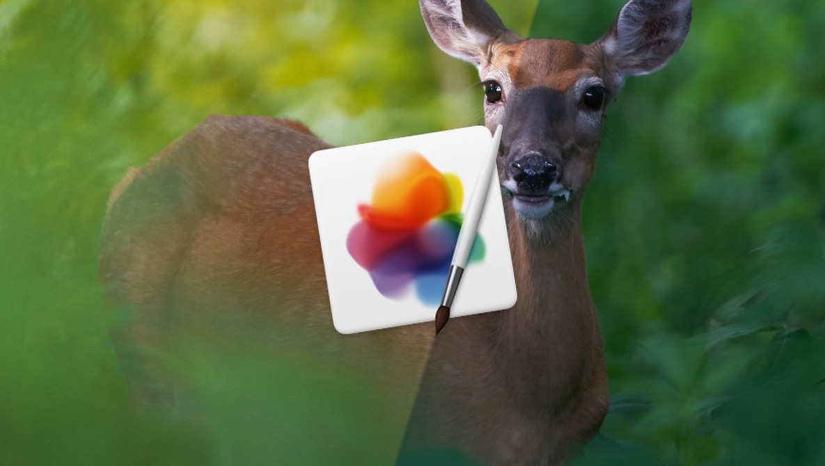 pixelmator pro