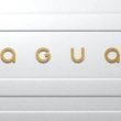 Jaguar: un rebranding totale