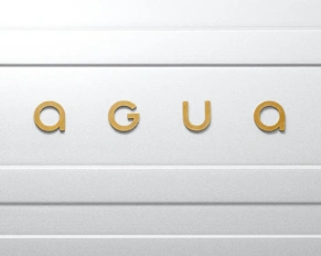 Rebranding Jaguar